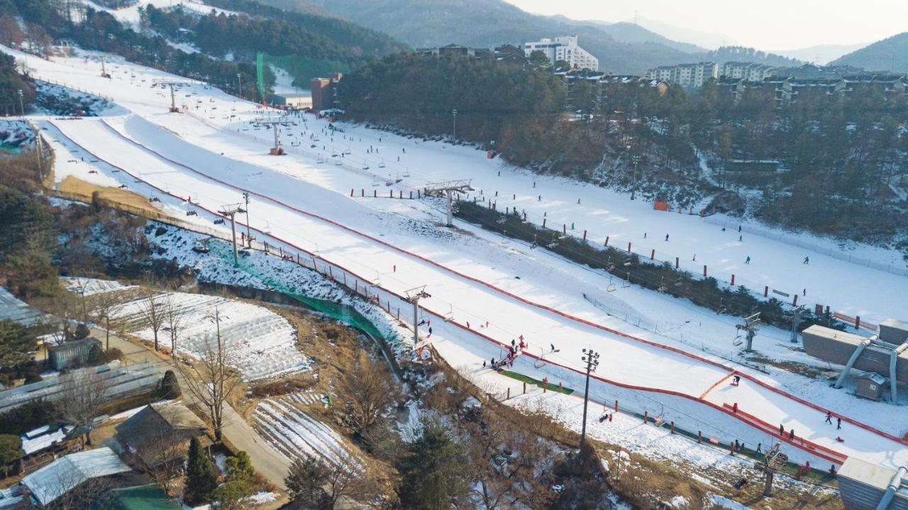 Hotel Bears Town à Pocheon Extérieur photo