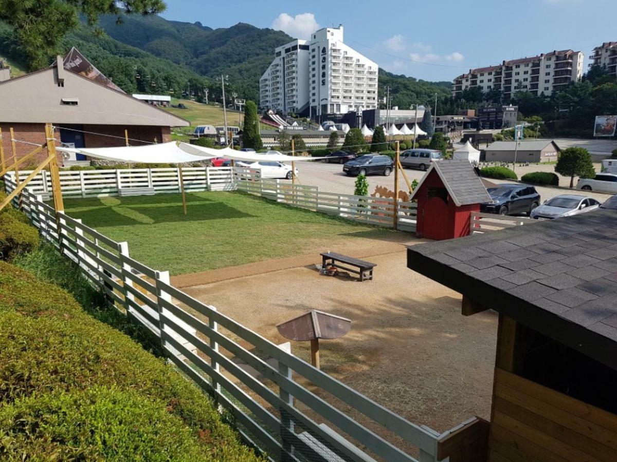 Hotel Bears Town à Pocheon Extérieur photo
