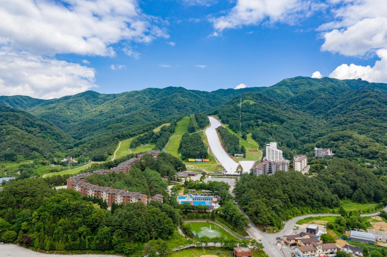 Hotel Bears Town à Pocheon Extérieur photo